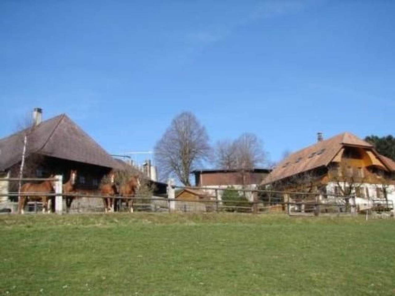 Ganze Wohnung, Muessache in Dürrenroth (Westalpen), Kanton Bern