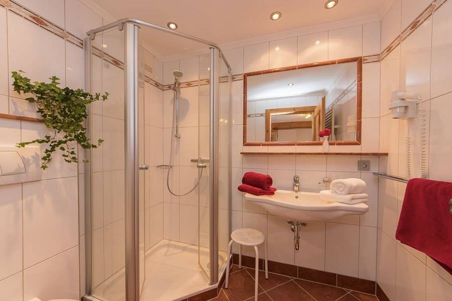 Ganze Ferienwohnung, Fewo Eichhörnchen (1-2 Personen/1 Wsr) in Flachau, Ski Amadé