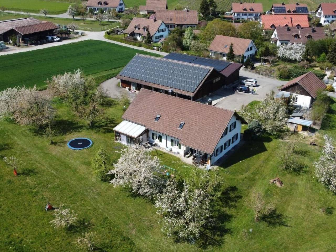 Cały apartament, Pünthof in Zurych (kanton)