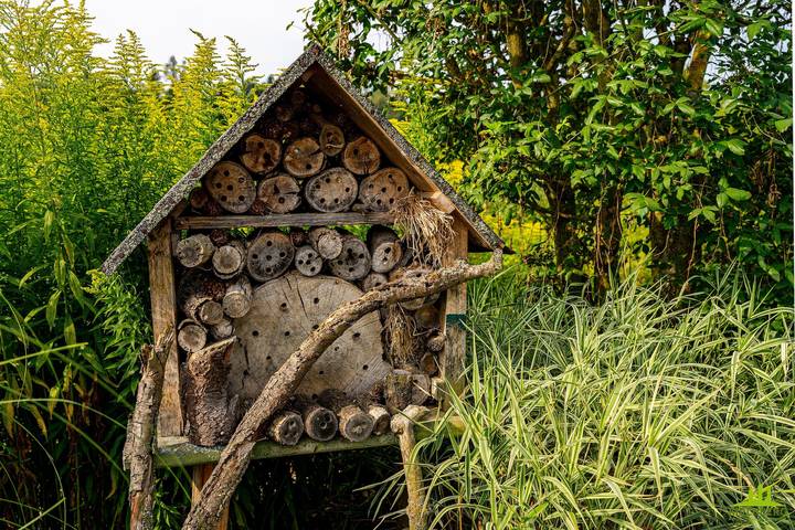 Ferienwohnung für 2 Personen, mit Garten und Balkon in Rheinland-Pfalz - 2