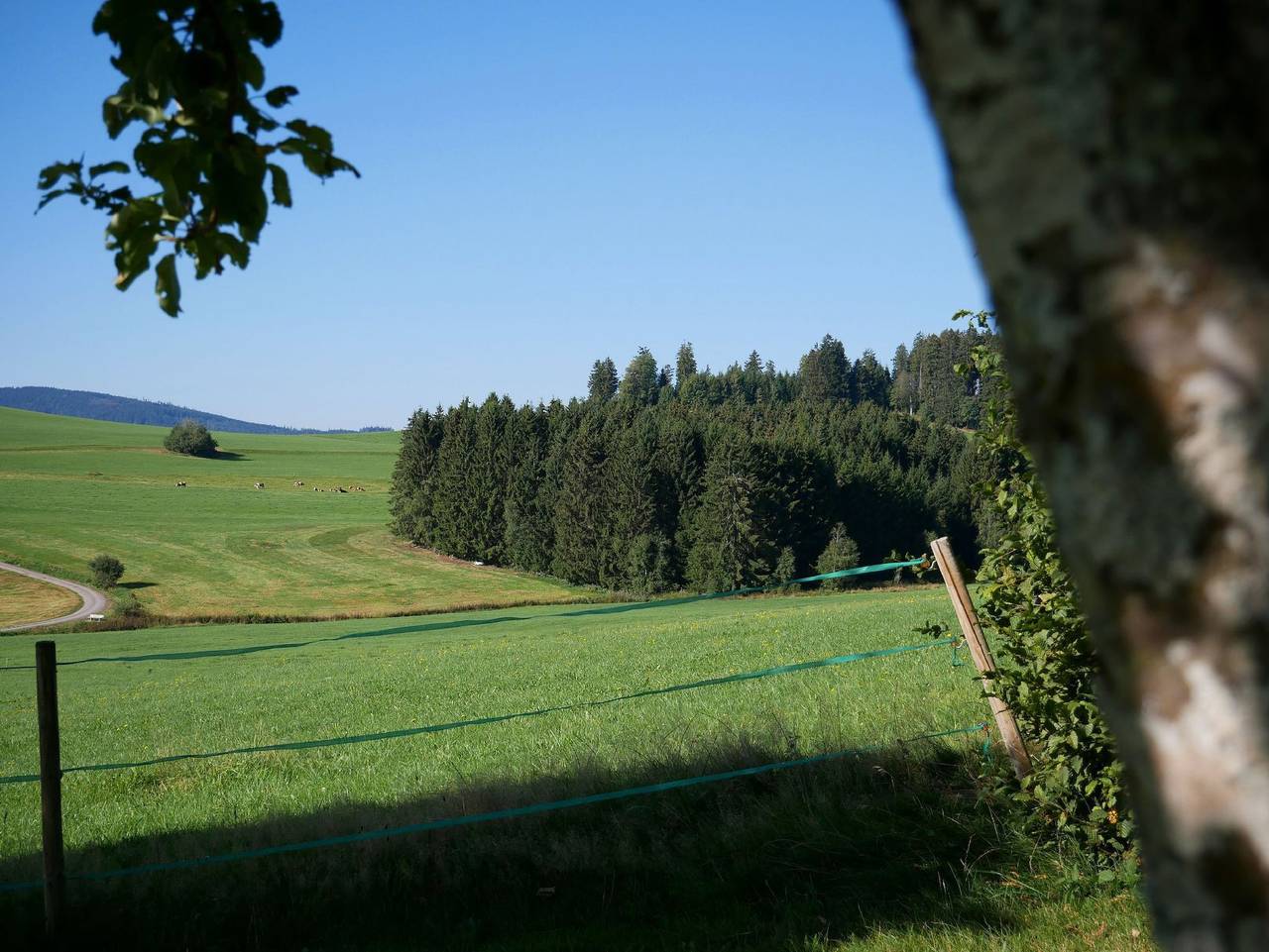 Gasthof Löwen in Suedlicher Schwarzwald, Breitnau