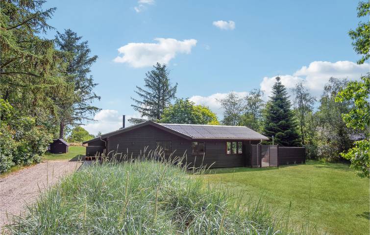 Ferienhaus mit Meerblick für 6 Personen, mit Garten und Terrasse in Blavand - 3