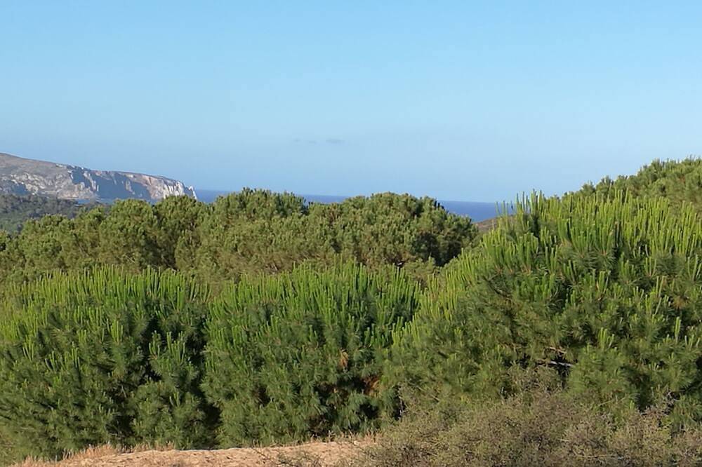 Die gelbe Haus - Villa in Portixeddu, Fluminimaggiore