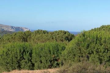 Location de vacances pour 8 personnes, avec terrasse et jardin dans Portixeddu