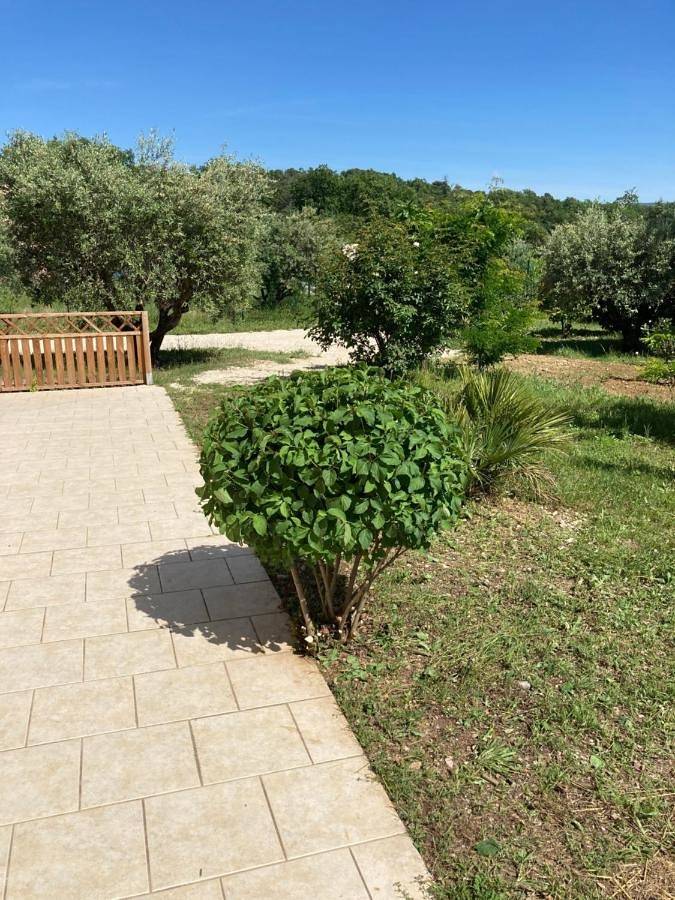 Location de vacances pour 6 personnes, avec vue et terrasse ainsi que piscine et jardin, animaux acceptés à Flassan - 3