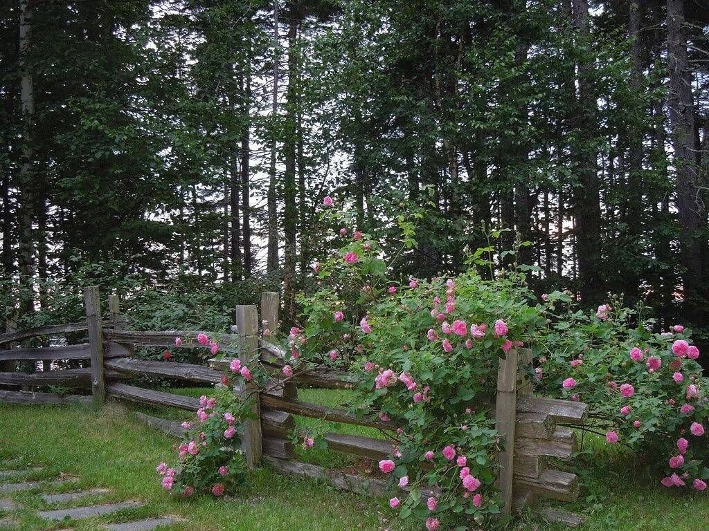 Kommen Sie, entspannen und genießen Sie wahre Ruhe und Schönheit. in Washington County (Maine)