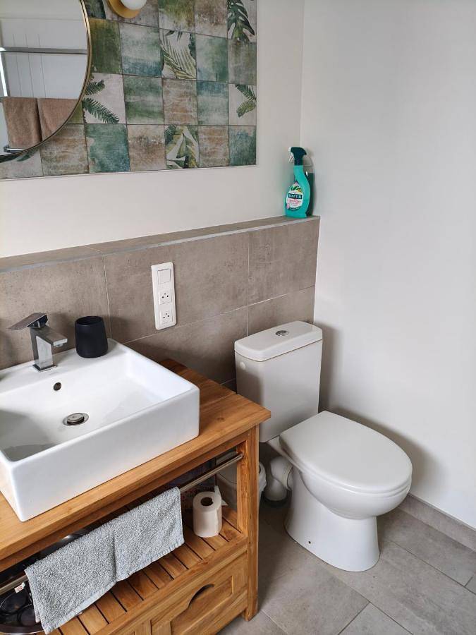 Maison d’hôte pour 2 personnes, avec jardin à Orthez - 3