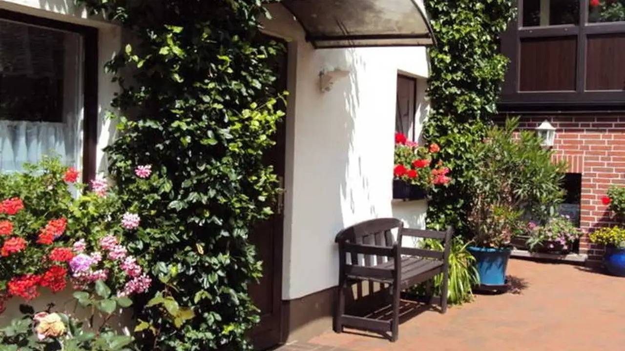 Ganze Ferienwohnung, Ferienwohnung für 3 Personen (45 m²) in Wesenberg in Wesenberg, Mecklenburg-Strelitz