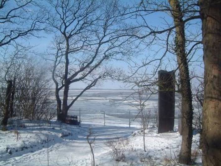Ferienhaus für 4 Personen, mit Terrasse, kinderfreundlich in Varel - 3