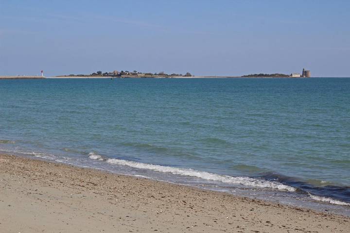 Gîte pour 4 personnes, avec terrasse à Saint-Vaast-la-Hougue - 4