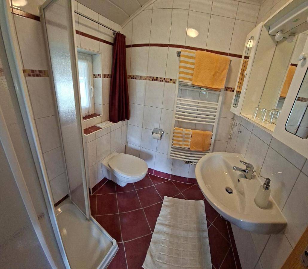 Pension Felsenheim in Ramsau am Dachstein, Schladming-Dachstein