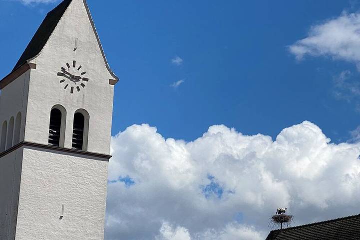 Gîte pour 6 personnes, avec jardin à Katzenthal