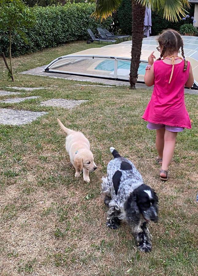 Chambre d’hôte pour 2 personnes, avec jardin ainsi que vue et piscine dans Lac du Bourget - 4