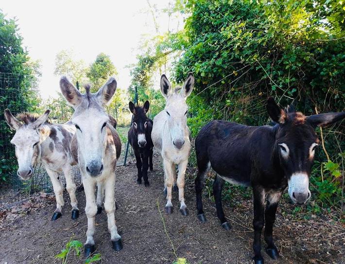 Tente pour 6 personnes en Gironde - 3