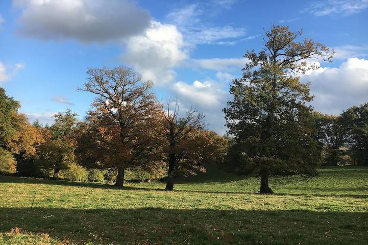 Maison de vacances pour 8 personnes, avec terrasse et jardin, animaux acceptés dans la Creuse