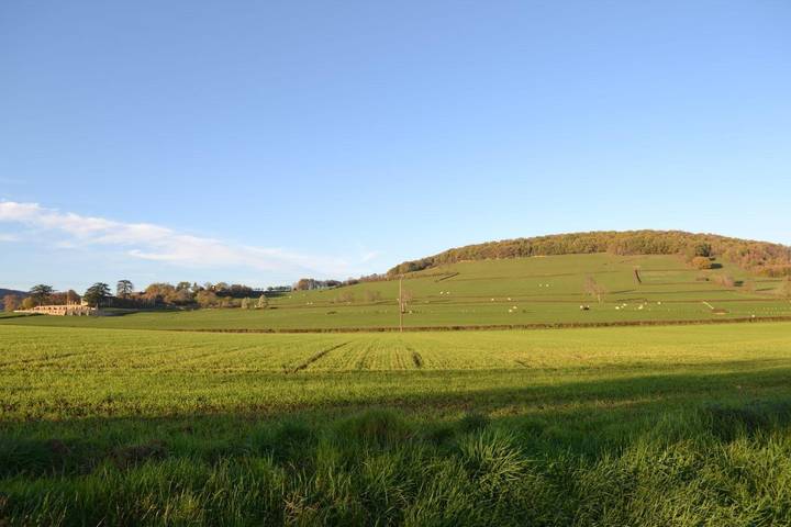 Gîte pour 3 personnes, avec jardin, animaux acceptés dans Jalogny - 2