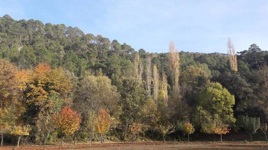 Apartamento de vacaciones para 8 personas, con jardín además de piscina y vistas, Se admiten mascotas en Sierra de Cazorla - 3