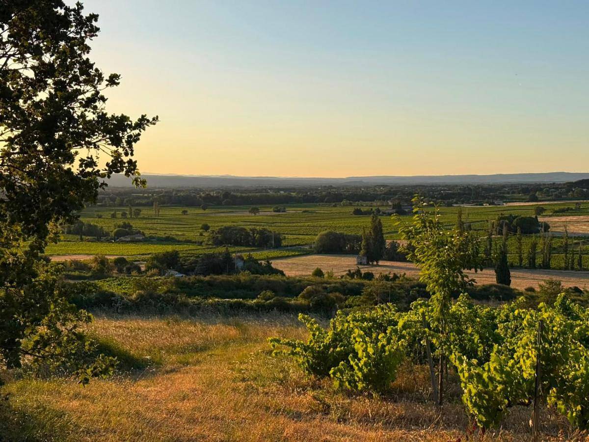 Appartement entier, Gîtes à la ferme, Le Jardin Bleu, Le Gîte Vert in Tulette, Région de nyons