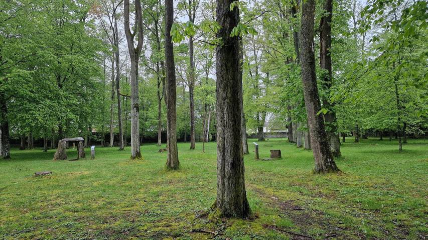 Ganze Ferienwohnung, Villa Andreas in Stamsried, Ostbayern