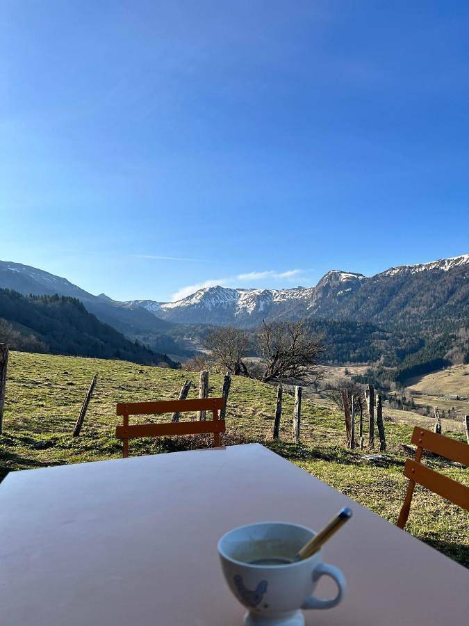 L'Impradine, grand gîte vue et nature splendides in Le Falgoux, Parc naturel régional des Volcans d'Auvergne