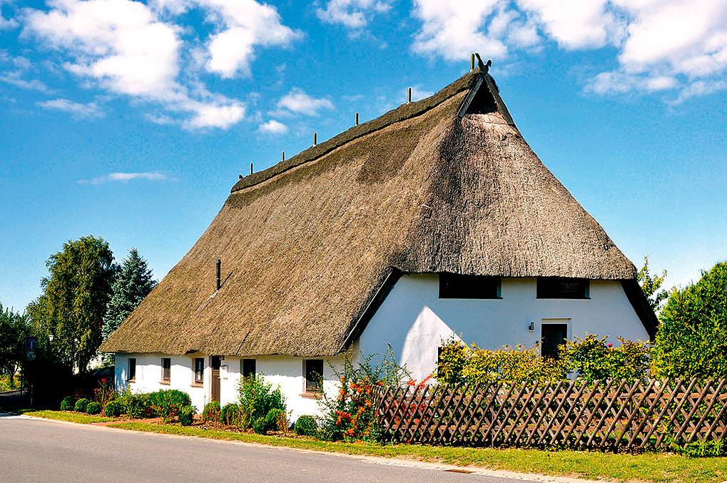 Ganze Ferienwohnung, D 133.115A - "Alte Büdnerei" - Nr. 5 in Pepelow, Salzhaff