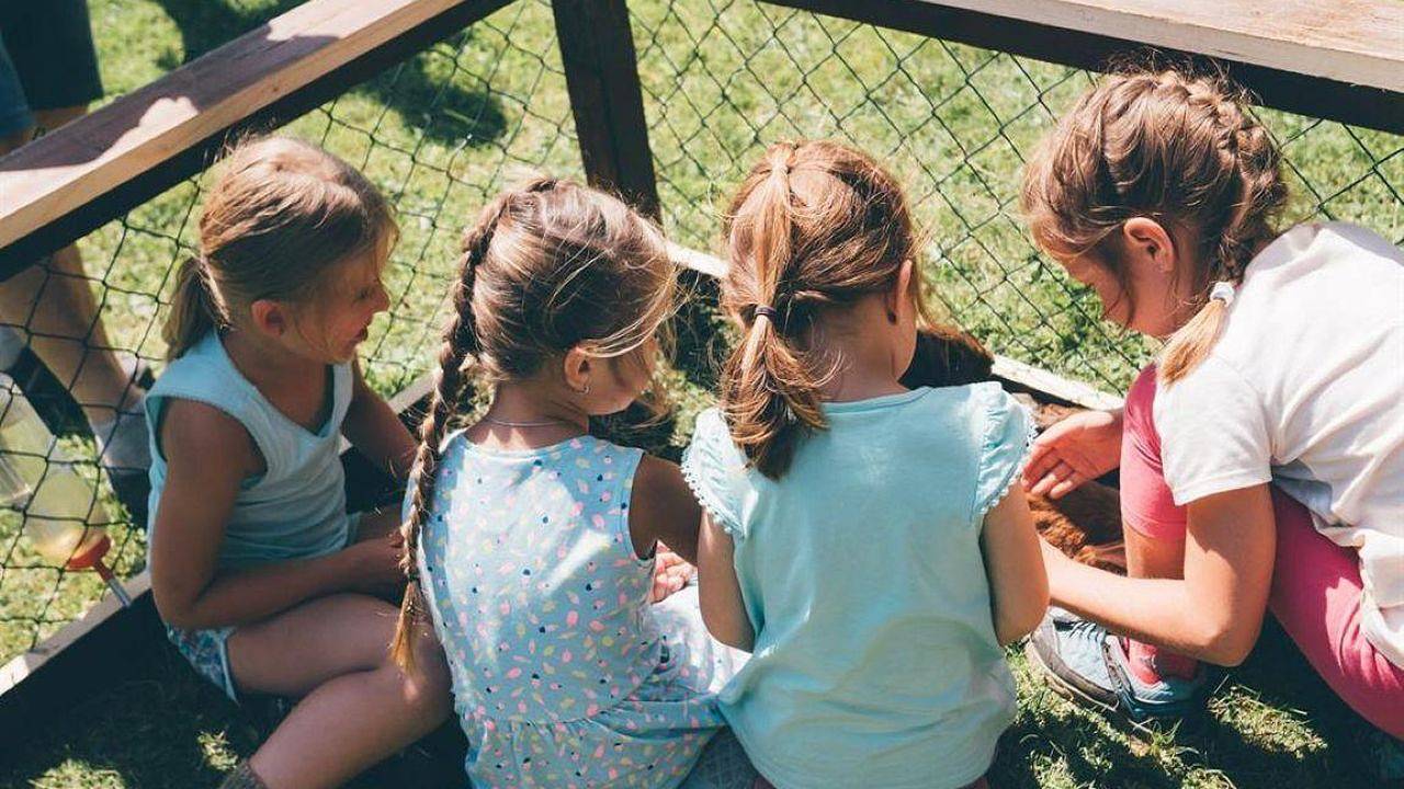 Ferienhaus für 4 Personen in Deutsch-Griffen in Deutsch-Griffen, Mittelkärnten