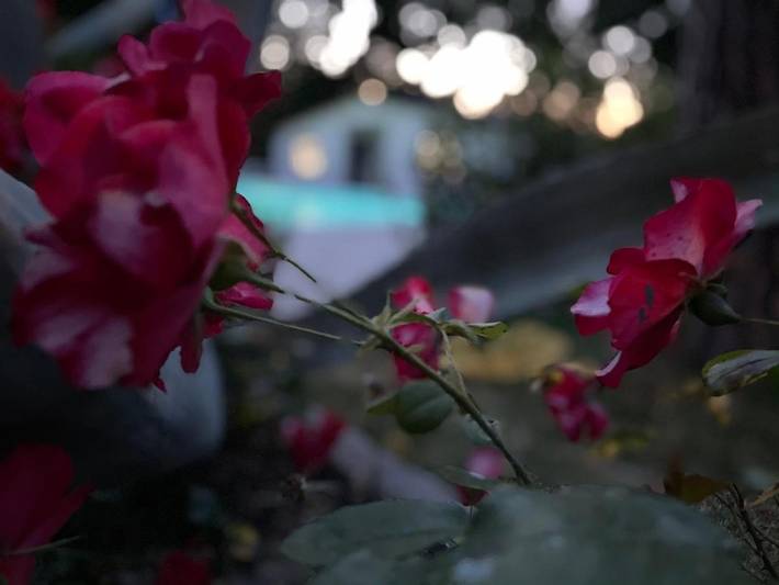 B&b per 4 persone, con Terrazza e Giardino nonché Panorama a Corridonia