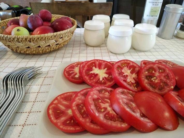 Location de vacances pour 2 personnes, avec jardin ainsi que vue et piscine à Morrovalle - 2