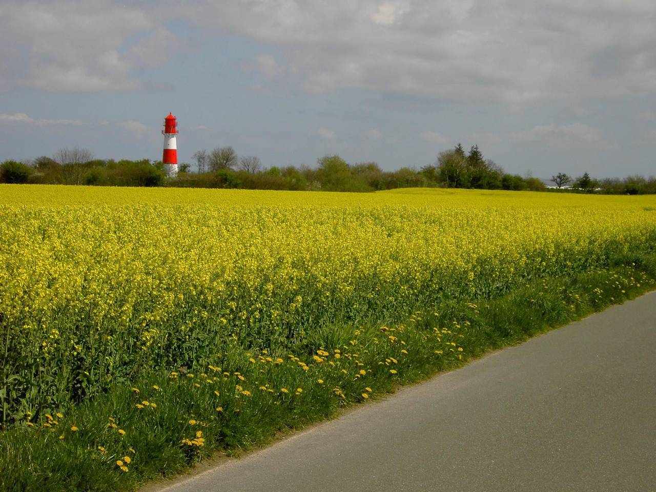 Dänemark in Gelting, foto 12