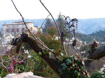 Gîte pour 6 personnes, avec jardin ainsi que terrasse et piscine à Vauvenargues