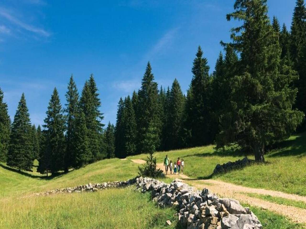 Ganze Wohnung, Premium Zimmer für 3 Personen - Vollpension - Winter in Bois-d'Amont, Regionaler Naturpark Hochjura