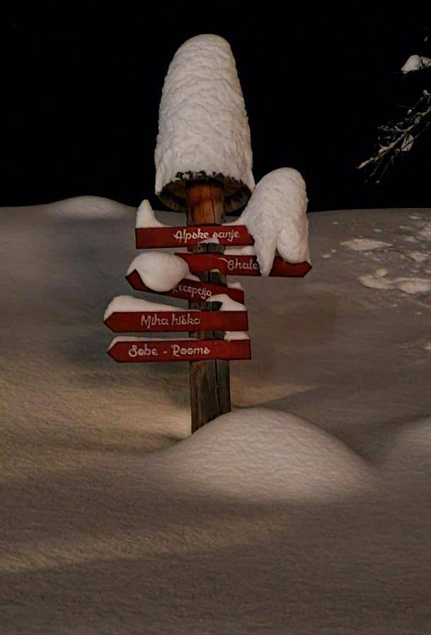 Gîte pour 4 personnes, avec sauna et terrasse à Solčava - 4