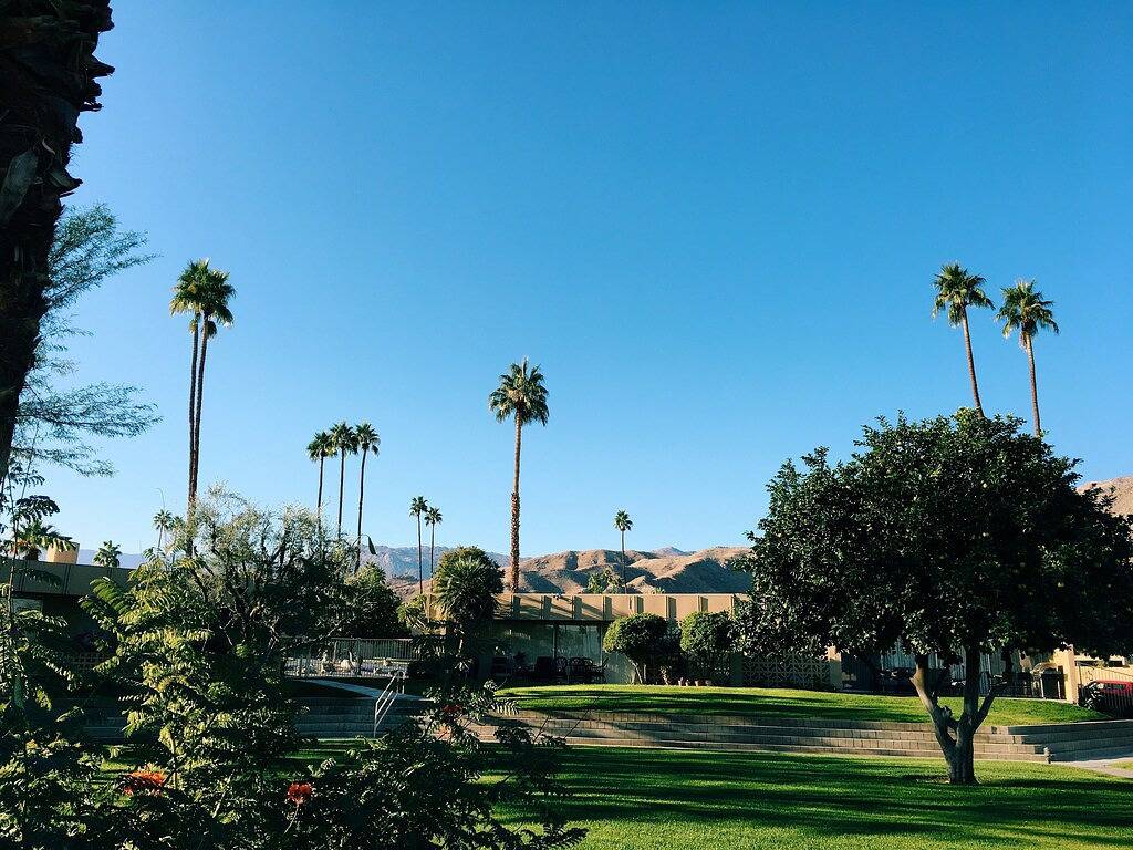 Ganze Wohnung, Renoviert Flucht der Mitte des Jahrhunderts, mit neuer Küche und Badezimmer. in Palm Desert, Coachella Valley