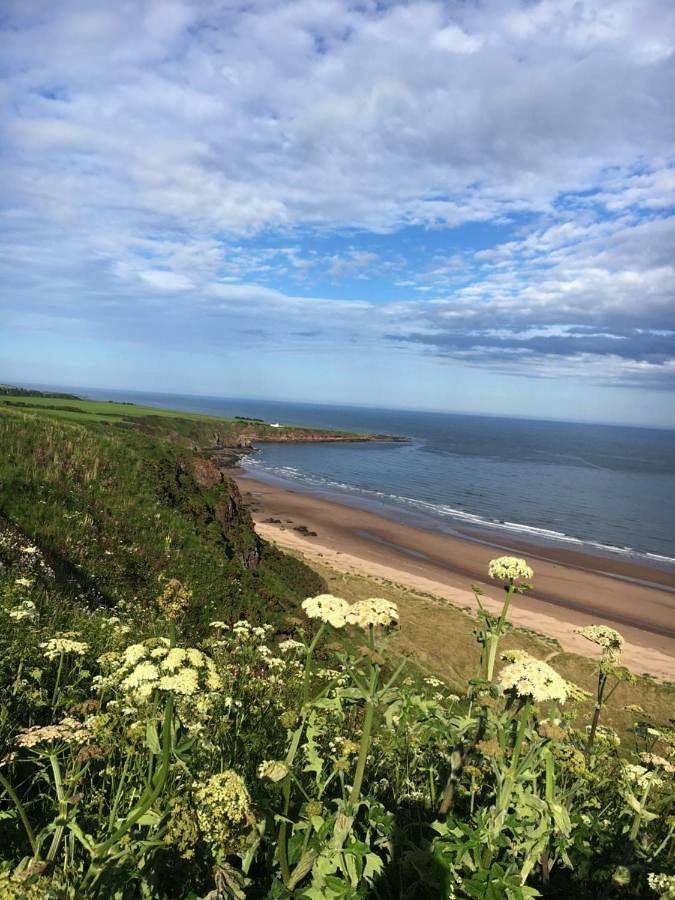 Location de vacances pour 5 personnes, avec jardin et vue à Stonehaven - 2