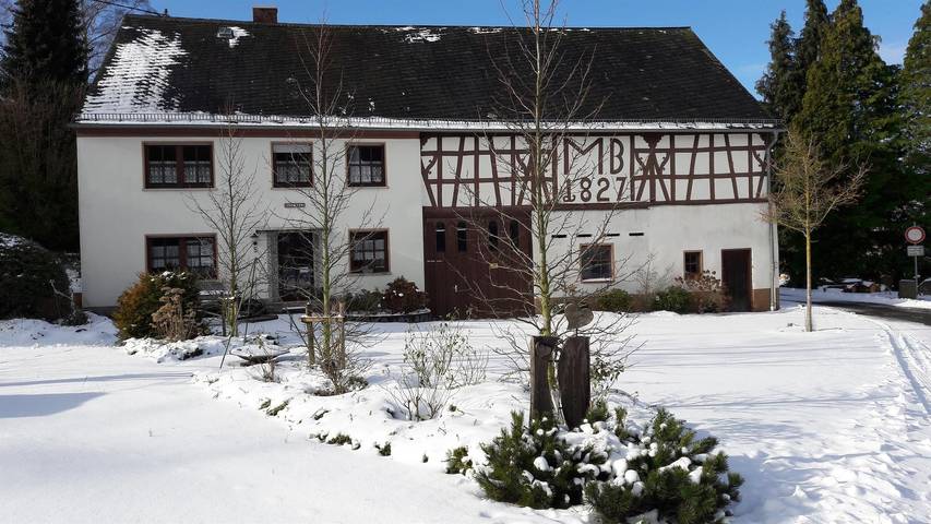 Ferienwohnung für 8 Personen, mit Terrasse und Garten im Hunsrück - 3
