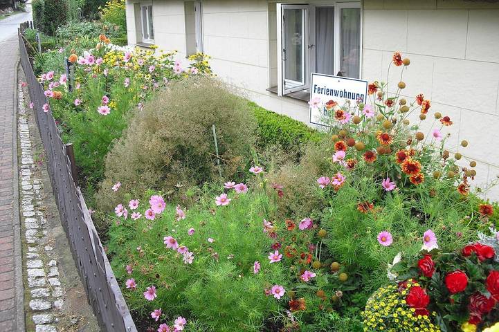 Cottage für 2 Personen, mit Garten in Thiessow - 2