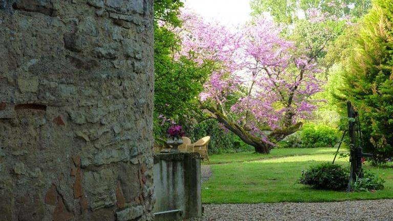 Gîte pour 3 personnes, avec jardin à Chantenay-Saint-Imbert - 4