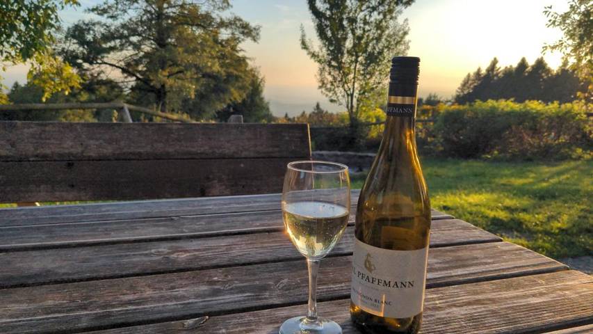 Ferienhaus für 14 Personen, mit Garten und Ausblick sowie Balkon in Landkreis Straubing-Bogen - 2