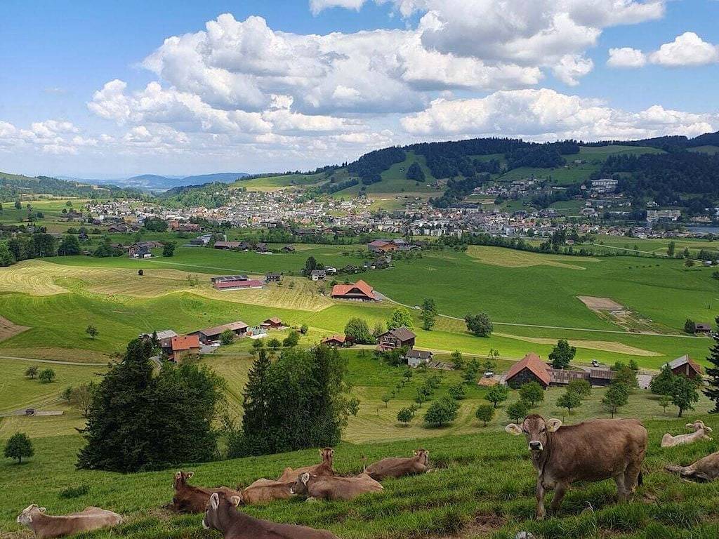 Ferienwohnung mit 1 Schlafzimmer in Unterägeri, Kanton Zug