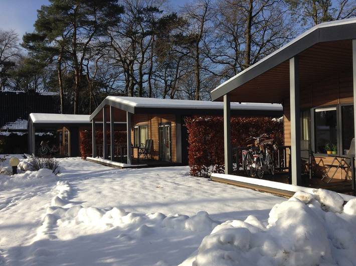 Bungalow voor 6 personen in Voorthuizen