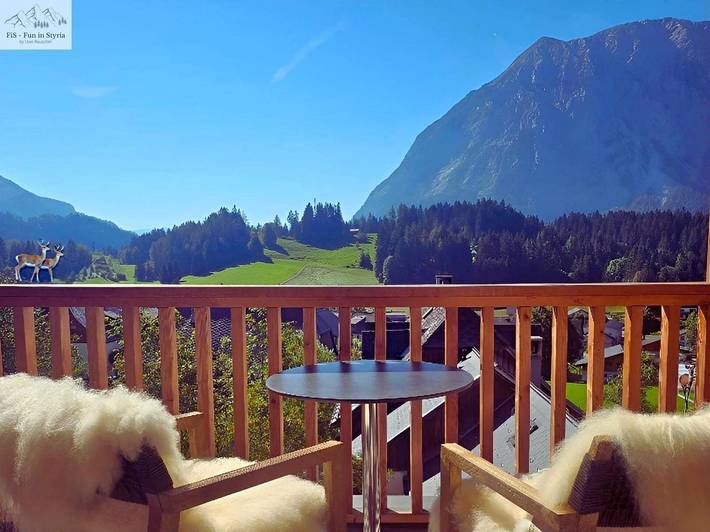 Ferienwohnung für 4 Personen, mit Sauna und Garten in Bad Mitterndorf - 2