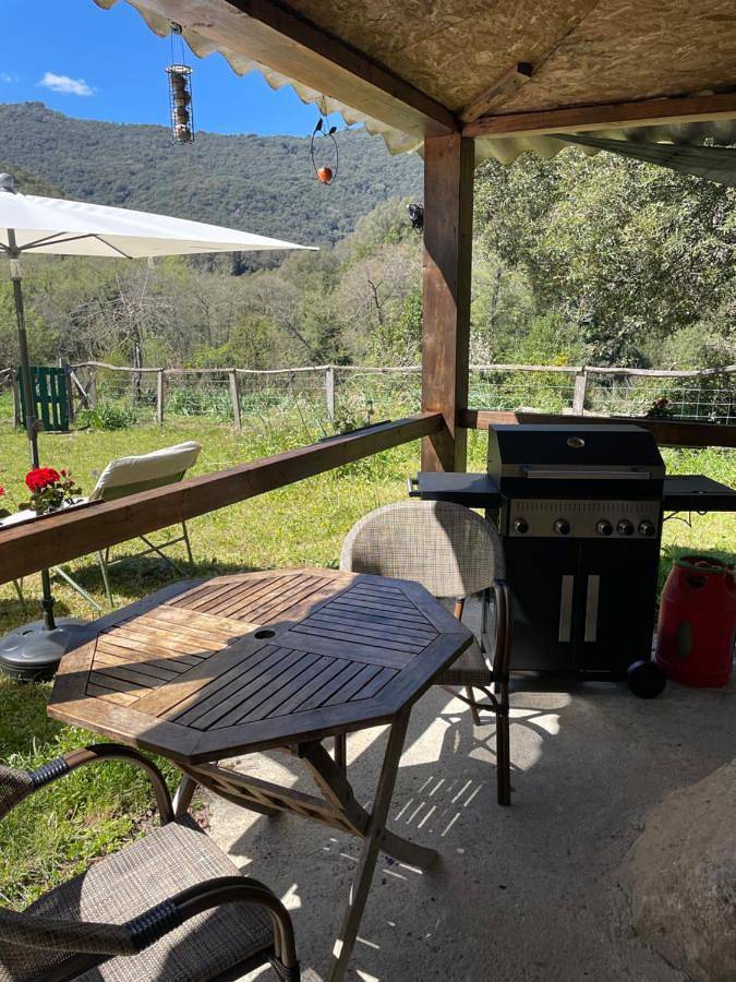 Location de vacances pour 2 personnes, animaux acceptés à Olivese - 3