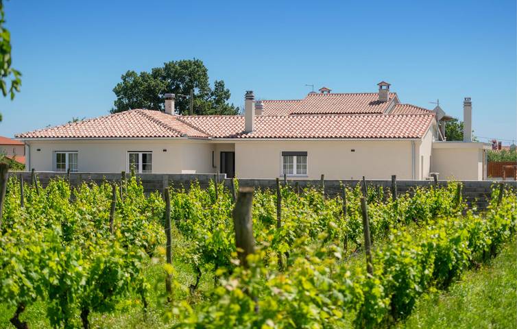 Location de vacances pour 8 personnes, avec terrasse à Loborika - 2