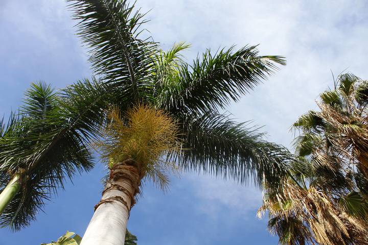 Ferienwohnung für 2 Personen, mit Balkon/Terrasse in Puerto de Mogan - 4