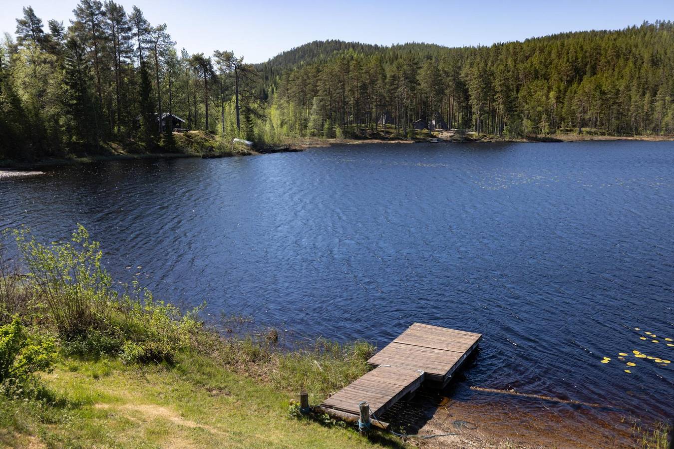 Bjørkhaug - 60 min Osl - Natur - Innsjø in Stange