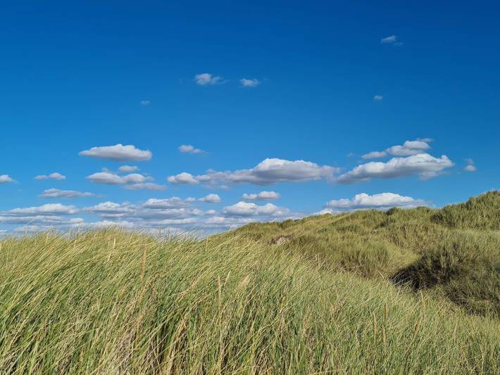 Ferienhaus für 6 Personen, kinderfreundlich in Jammerbugt - 4