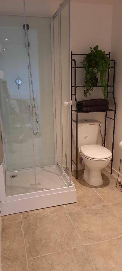 Gîte pour 5 personnes, avec jardin ainsi que vue et vue sur le lac à Mazères - 4