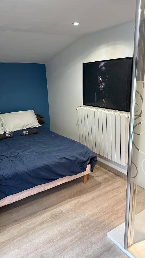 Appartement entier, One-Bedroom Apartment in Le Fief-Sauvin, Montrevault-sur-Èvre