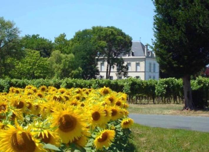 Chambre d’hôte pour 15 personnes, avec jardin ainsi que vue et piscine en Charente-Maritime - 4