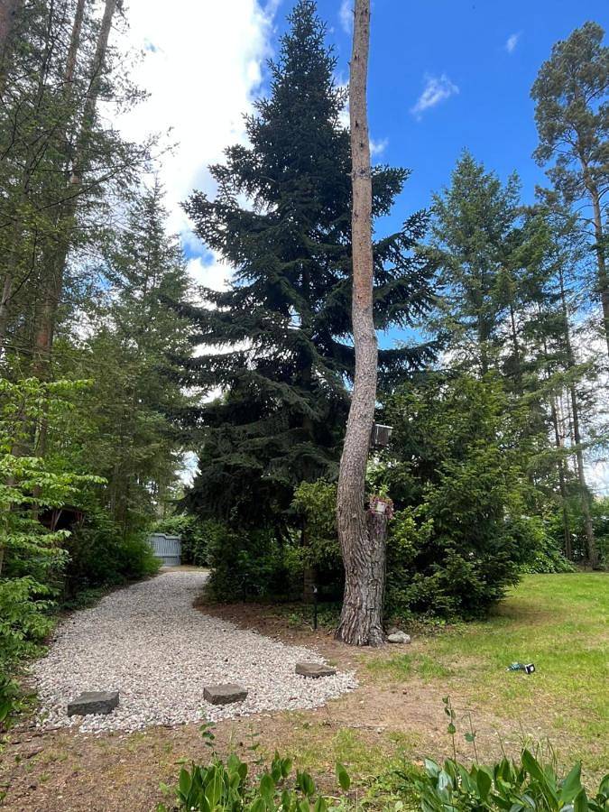 Ferienhaus für 5 Personen, mit Garten und Ausblick sowie Sauna in Biosphärenreservat Schorfheide Chorin - 4